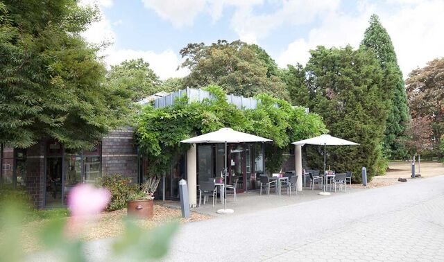 Café Königshof